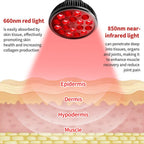 Portable Infrared Red Light Therapy Lamp