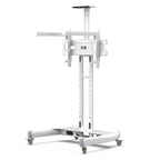 Red Light Therapy Lamp Stand